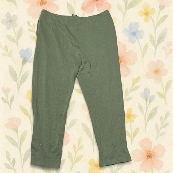 Caslon Olive Green Pull-On Pants | Size 2X - Picture 5 of 6